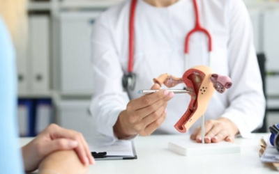 Maqueta d'un úter | Pèxels