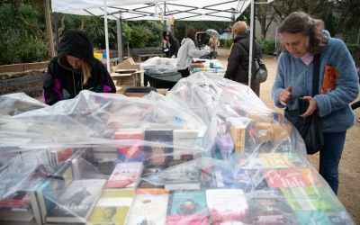 Sant Jordi passat per aigua a Sabadell al 2022