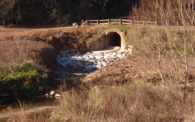 Noves actuacions de millora al Ripoll
