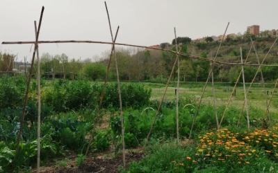 Oberta la convocatòria de l'Horta d'En Romau