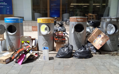 Deixalles acumulades fora dels contenidors de pneumàtica | Cedida