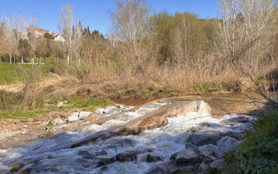 Imatge del riu Ripoll