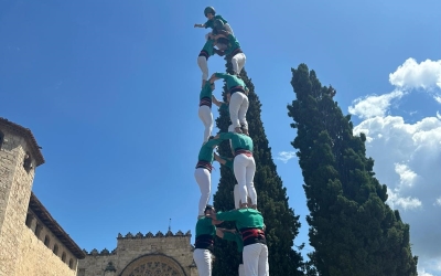 Imatge del 3d8 descarregat avui a Sant Cugat | Cedida