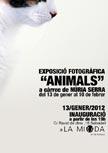 Exposició fotogràfica 'Animals', de Núria Serra